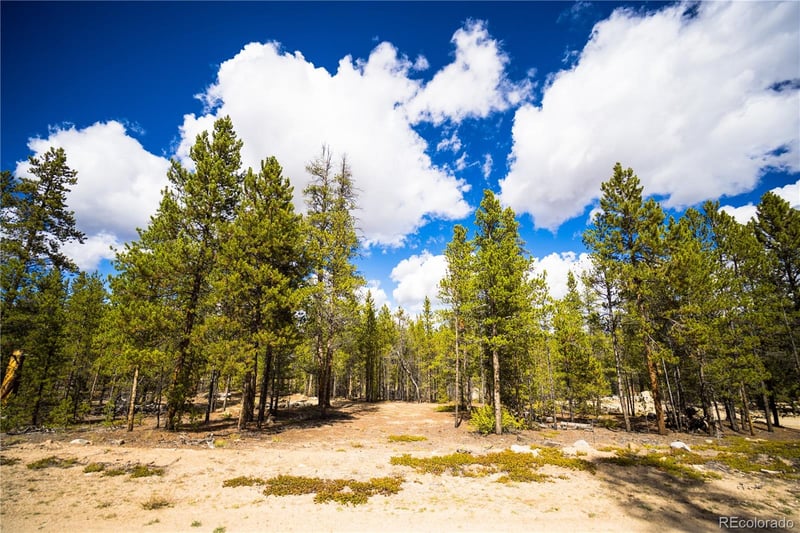 247 Juniper Dr, Twin Lakes, CO 80461