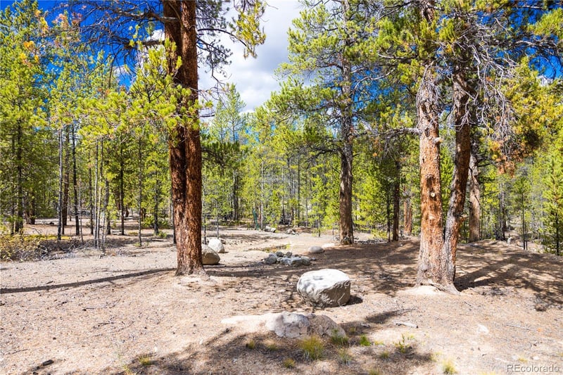 247 Juniper Dr, Twin Lakes, CO 80461