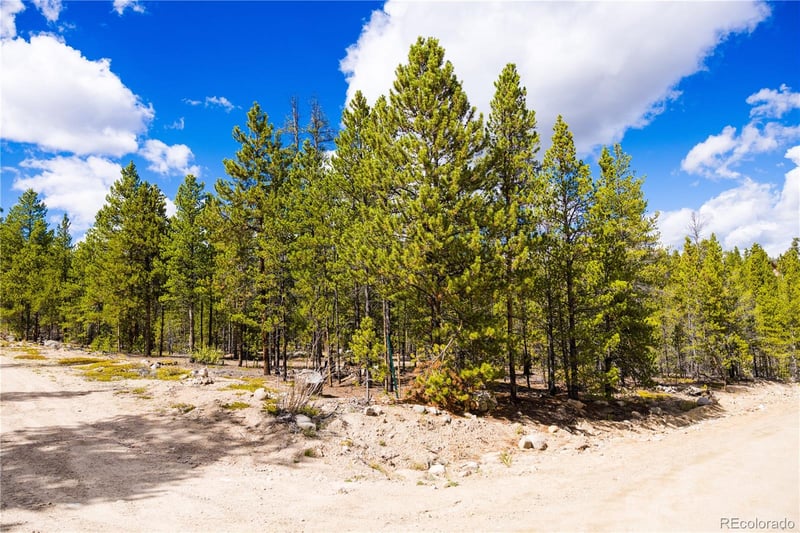247 Juniper Dr, Twin Lakes, CO 80461