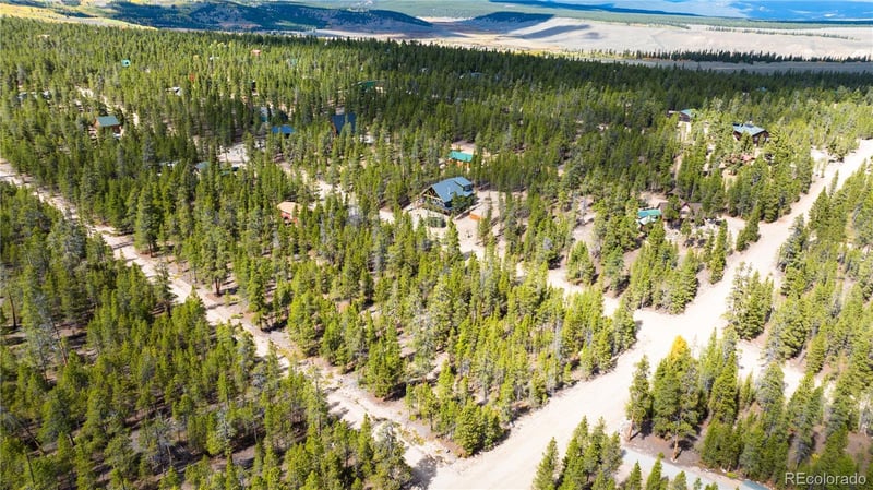 247 Juniper Dr, Twin Lakes, CO 80461