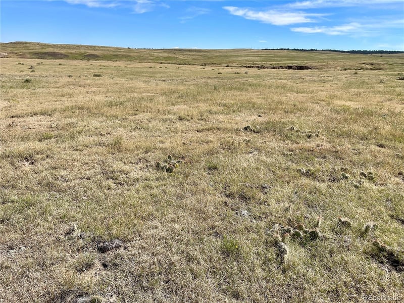 3 County Road 77, Calhan, CO 80808