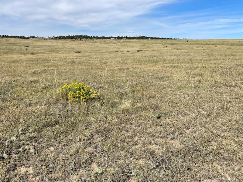 3 County Road 77, Calhan, CO 80808
