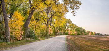 5690 Beech Cir, Greenwood Village, CO 80121