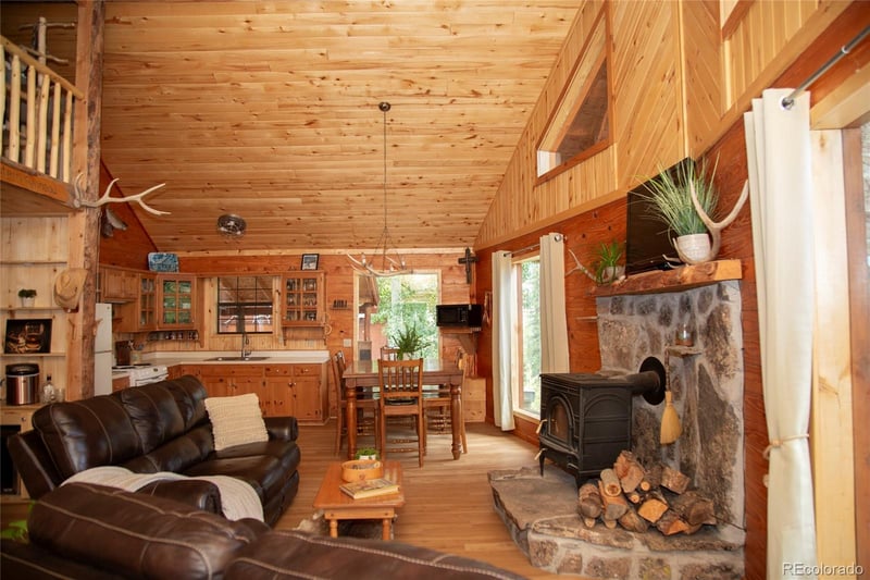 32001 Elk Trail Ln, Creede, CO 81130