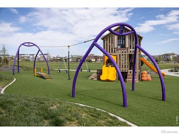 1825 Bounty Dr #5, Windsor, CO 80550
