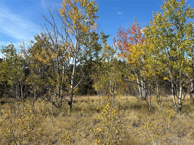 890 Mcdowell Dr, Jefferson, CO 80456