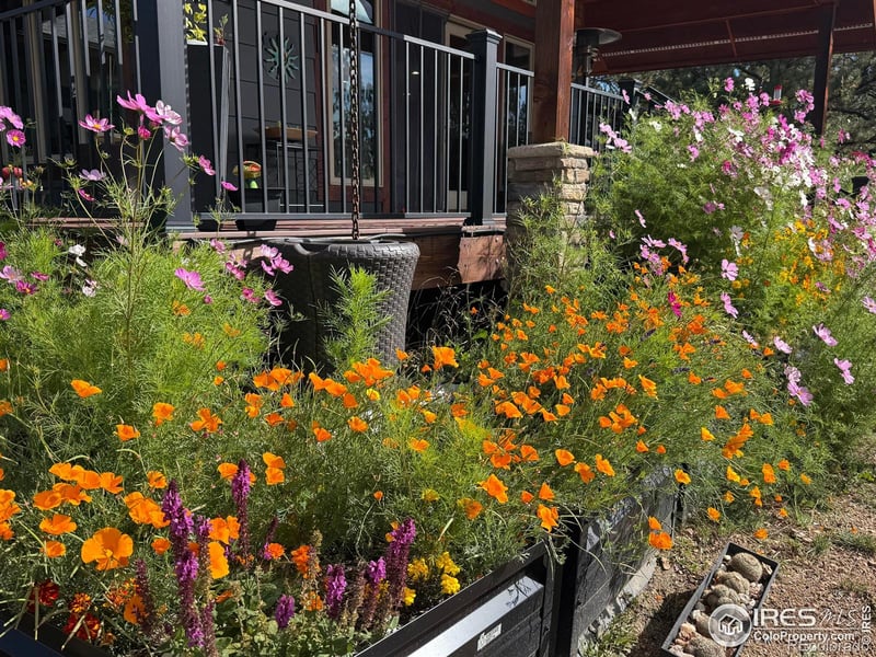 850 North Ln, Estes Park, CO 80517