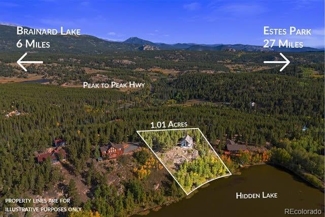 1300 Pine Cone Cir, Ward, CO 80481
