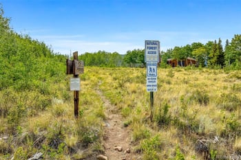 188 Stellar Jay Way, Fairplay, CO 80440