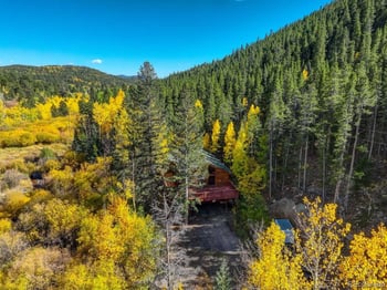 7505 County Road 43, Bailey, CO 80421