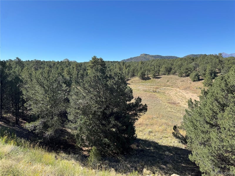 2835 Black Cloud Cir, Westcliffe, CO 81252