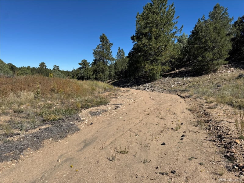 2835 Black Cloud Cir, Westcliffe, CO 81252