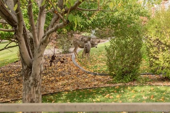 23562 Phillips Pl, Aurora, CO 80016