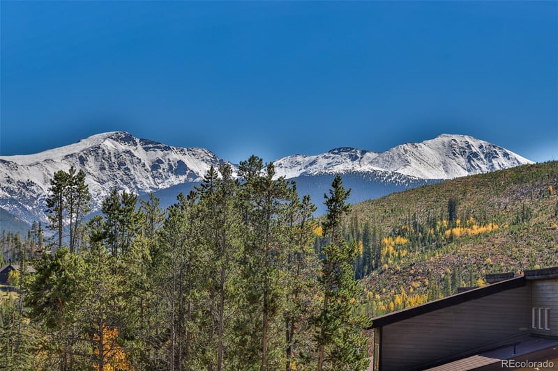 455 Bear Trl, Winter Park, CO 80482