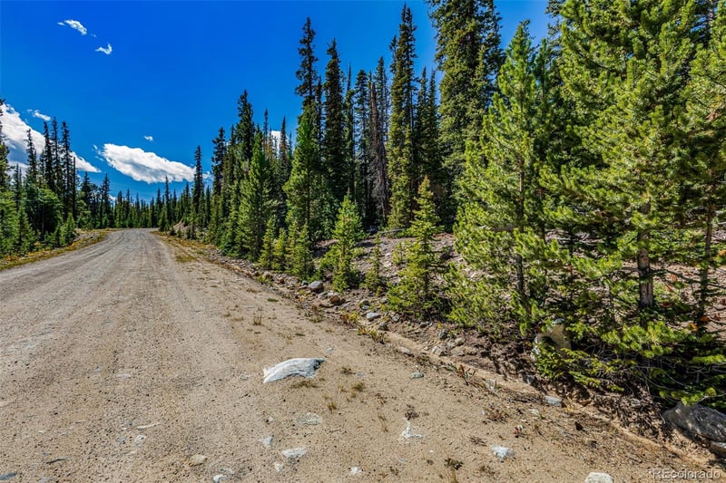 245 El Lobo Ln, Fairplay, CO 80440