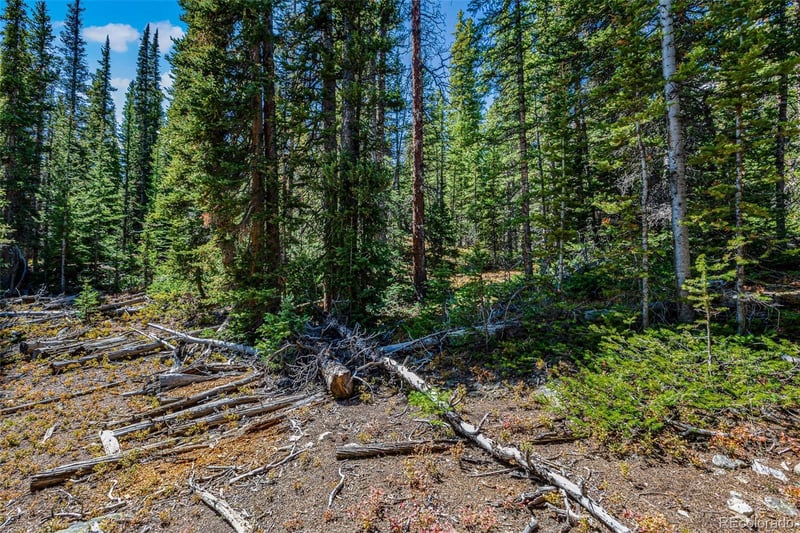 245 El Lobo Ln, Fairplay, CO 80440