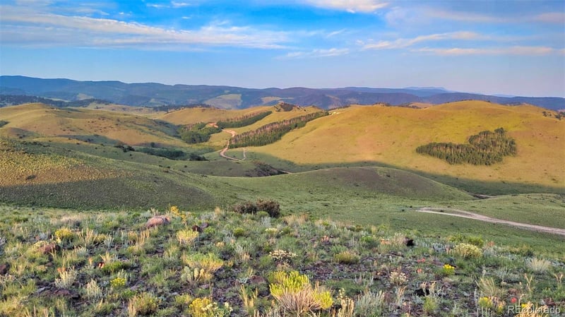 1931 Commanche Trl, Westcliffe, CO 81252