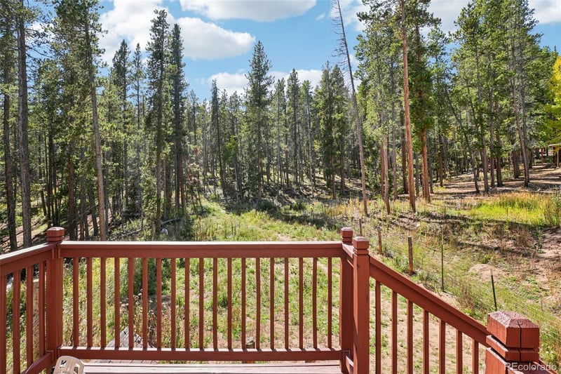 291 Creekwood Trl, Black Hawk, CO 80422