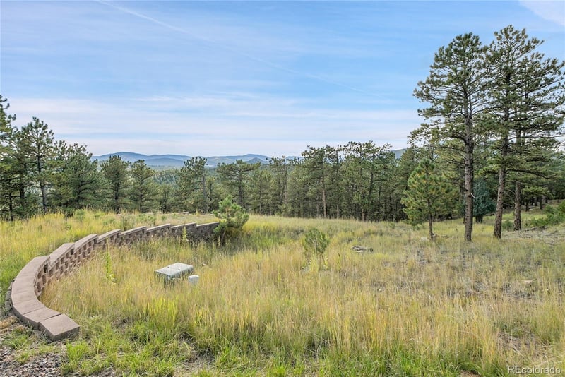 2317 Wieler Rd, Evergreen, CO 80439
