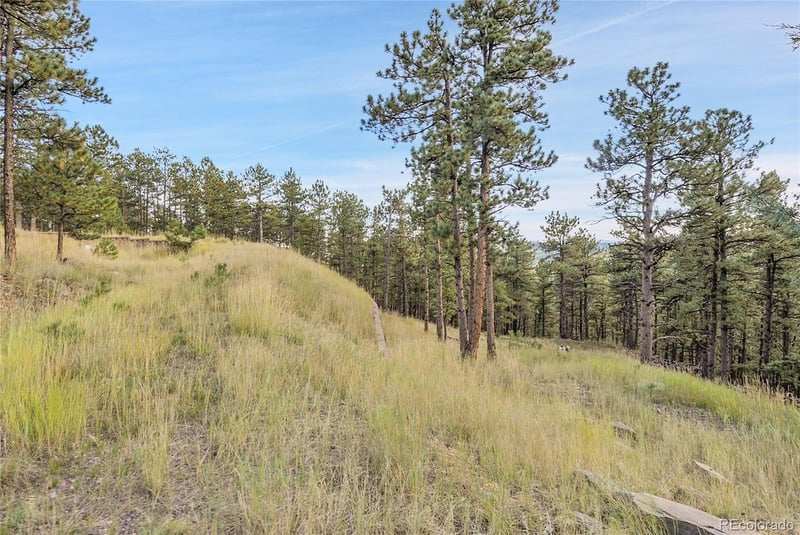 2317 Wieler Rd, Evergreen, CO 80439