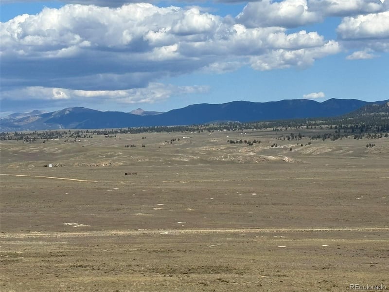 295 Oxford Dr, Hartsel, CO 80449