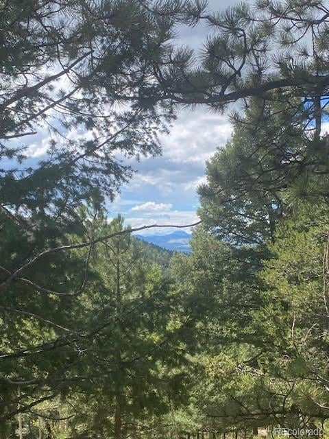 216 - 252 Troy Dr, Cripple Creek, CO 80813