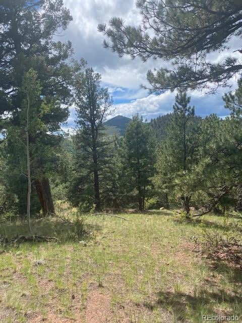 216 - 252 Troy Dr, Cripple Creek, CO 80813