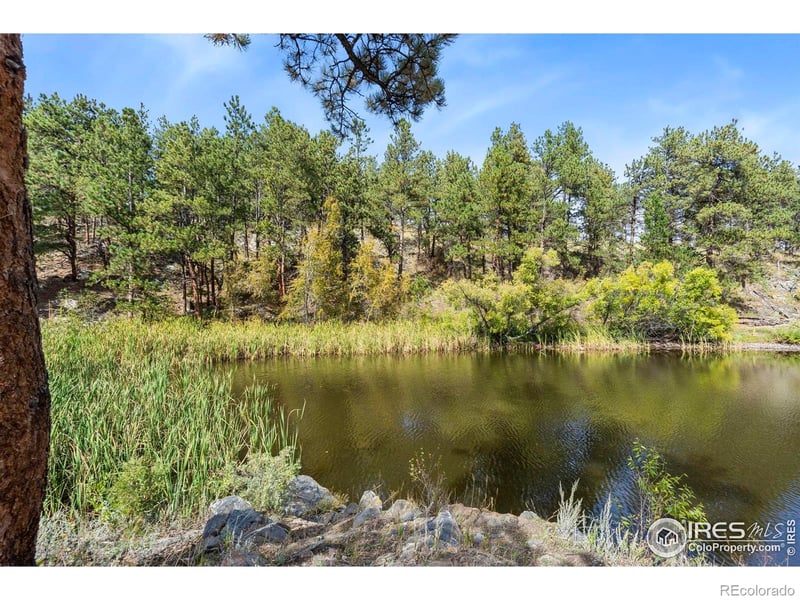 46 Cinnamon Bear Ct, Drake, CO 80515