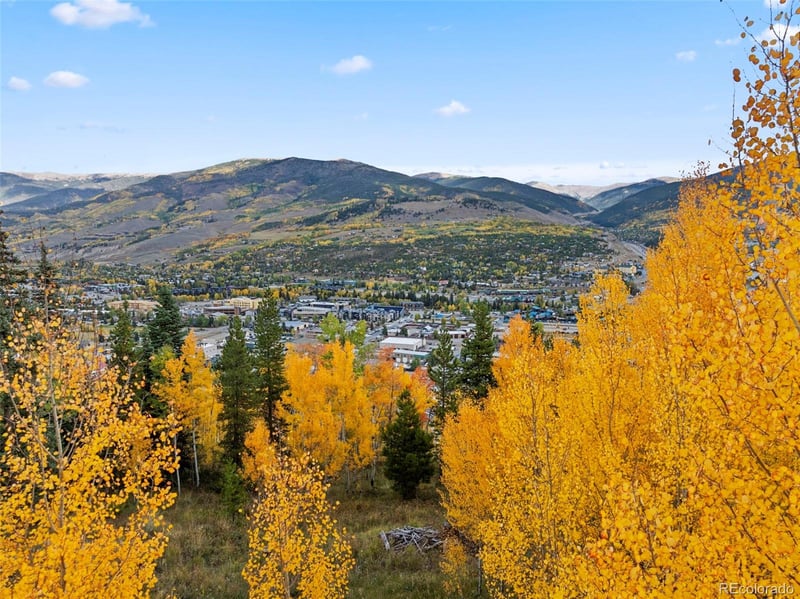 412 Lakeview Dr, Silverthorne, CO 80498