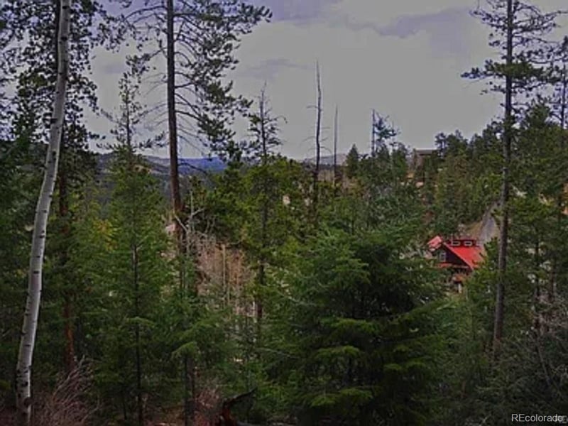 10136 Crest View Dr Lot 63, Morrison, CO 80465