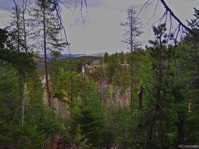 10136 Crest View Dr Lot 63, Morrison, CO 80465