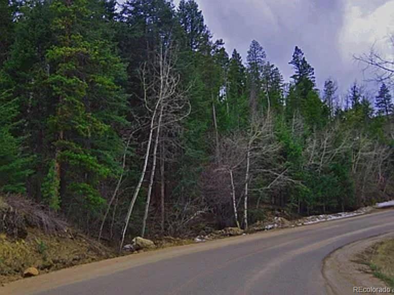 10136 Crest View Dr Lot 63, Morrison, CO 80465
