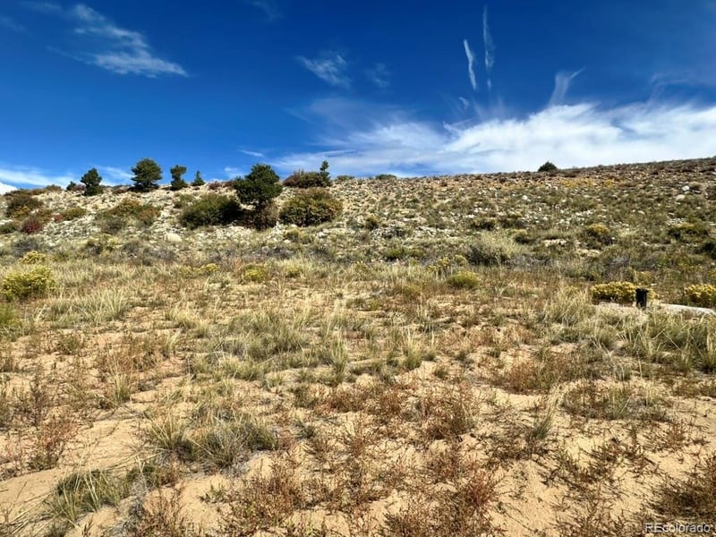 24266 River Rock Ln, Buena Vista, CO 81211