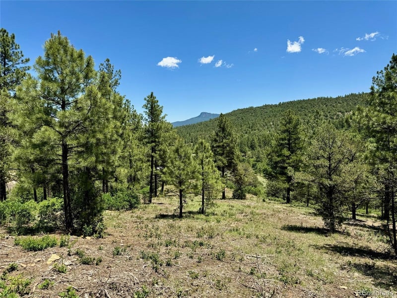 33161 Gallinas Pw, Trinidad, CO 81082