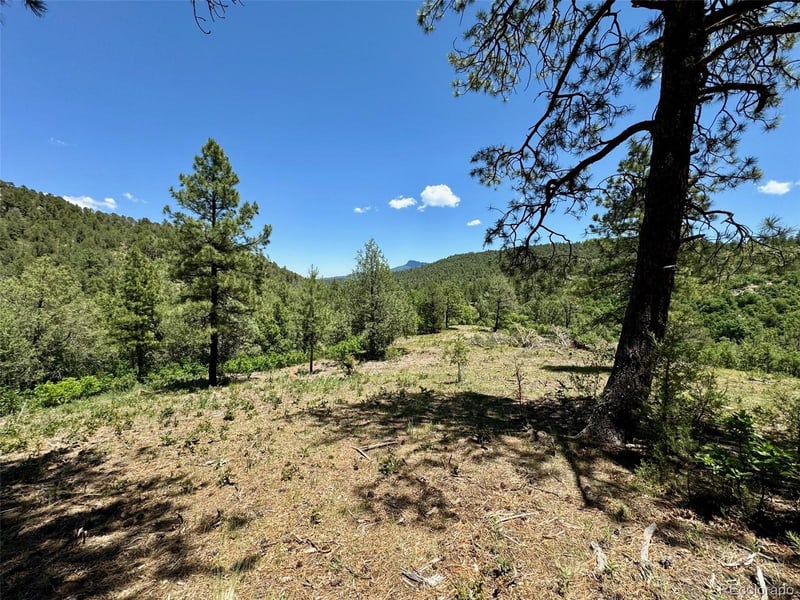 33161 Gallinas Pw, Trinidad, CO 81082