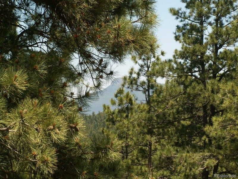 33280 Gallinas Pw, Trinidad, CO 81082