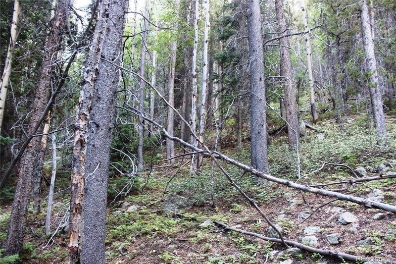 5340 Fs 718 1 , Black Hawk, CO 80422