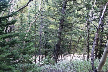5340 Fs 718 1 Lot 5340, Black Hawk, CO 80422