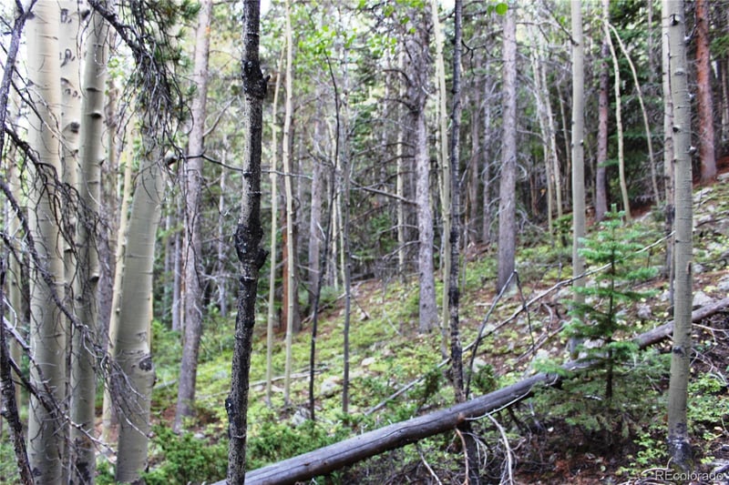 5340 Fs 718 1 Lot 5340, Black Hawk, CO 80422