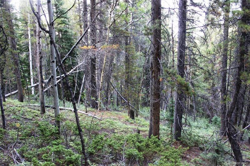 5340 Fs 718 1 Lot 5340, Black Hawk, CO 80422