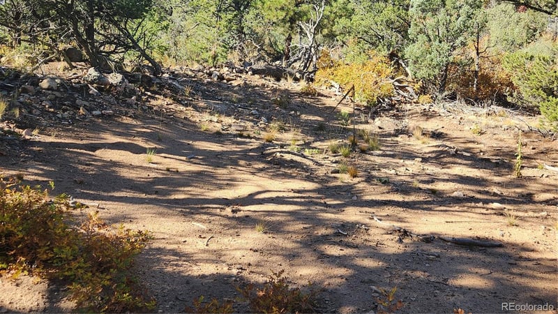 TBD L 42nd Trl, Cotopaxi, CO 81223