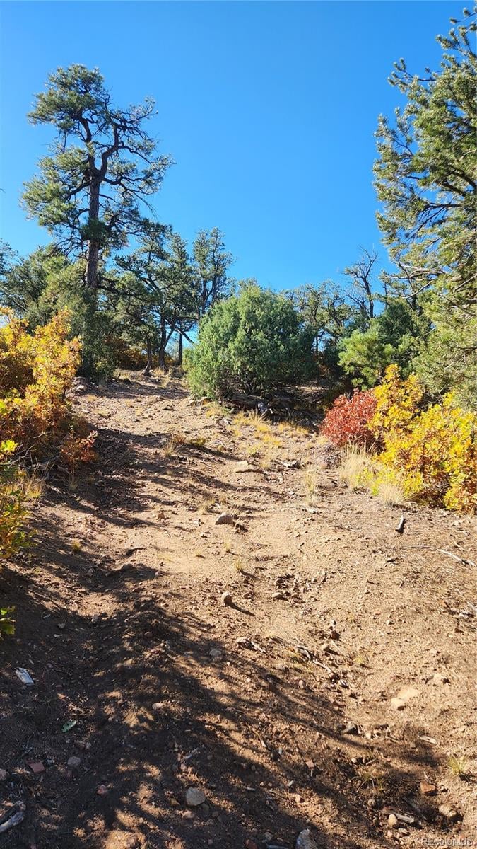 TBD L 42nd Trl, Cotopaxi, CO 81223