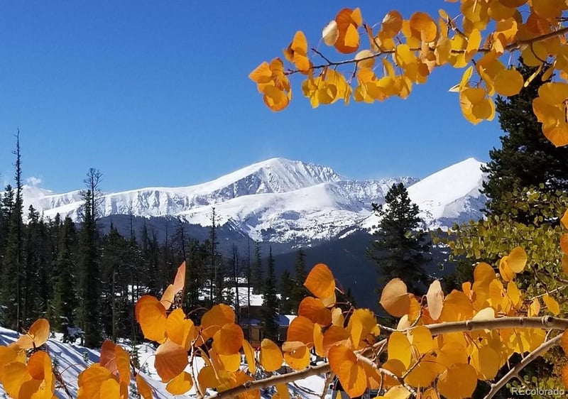 305 Park #402 Ave #402, Breckenridge, CO 80424