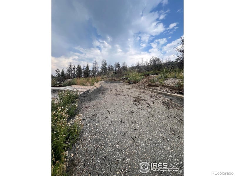 883 Palisade Mountain Dr, Drake, CO 80515