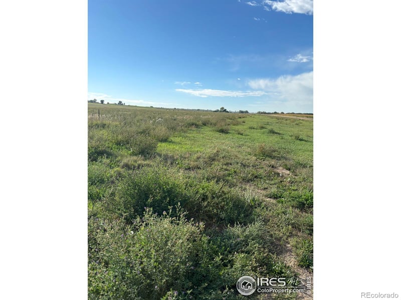 4625 E County Road 54, Fort Collins, CO 80524