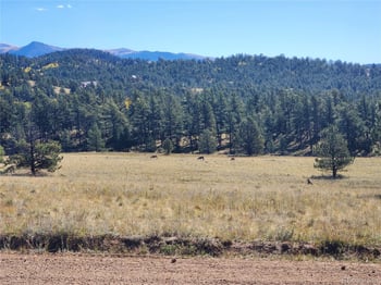 2628 Southpark Rd, Florissant, CO 80816