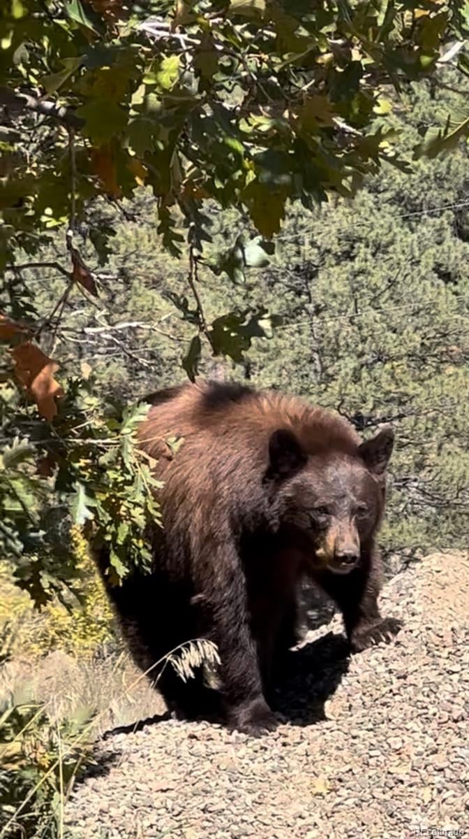 Rancho Escondido Lot 23c, Weston, CO 81091