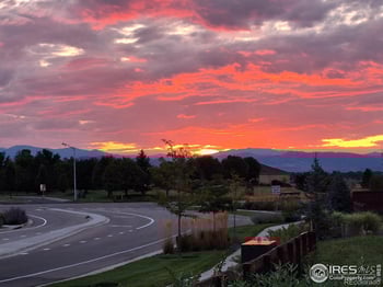 1813 Garden Flourish Ct, Windsor, CO 80550