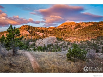 302 Meldrum St #313, Fort Collins, CO 80521