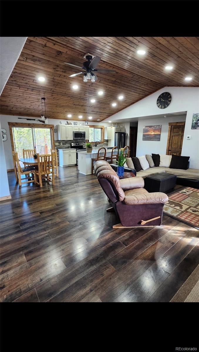 455 Cedar Dr, Leadville, CO 80461